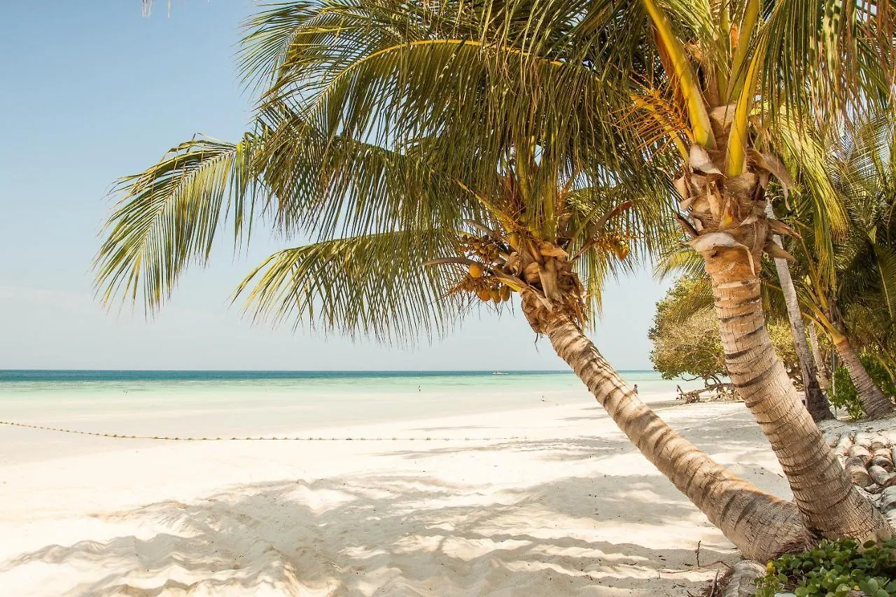 Hotel Blanco Tulum Adults Only